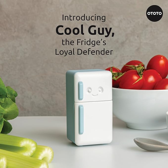 Cool Guy- Fridge Deodorizer