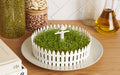 Seed Field  - Seed Sprouter
